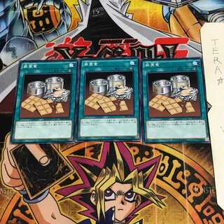 非常食 SD30 2 ノーマル 3枚セット てら