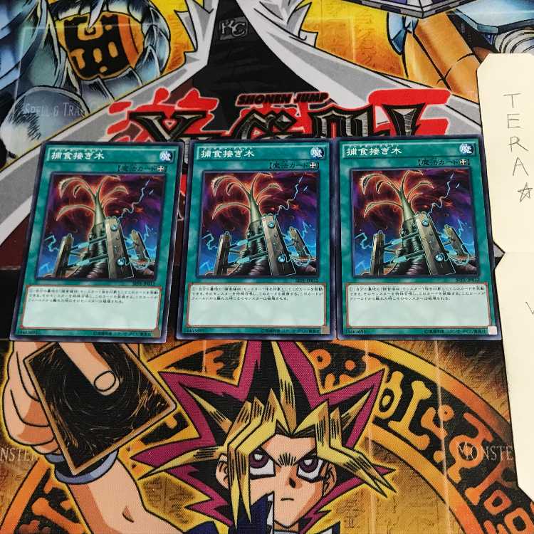 捕食接ぎ木 SPFE 6 ノーマル 3枚セット てら