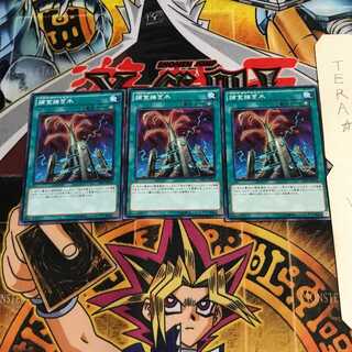 捕食接ぎ木 SPFE 8 ノーマル 3枚セット てら