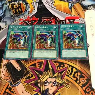 墓穴の道連れ 305 9 ノーマル 3枚セット てら