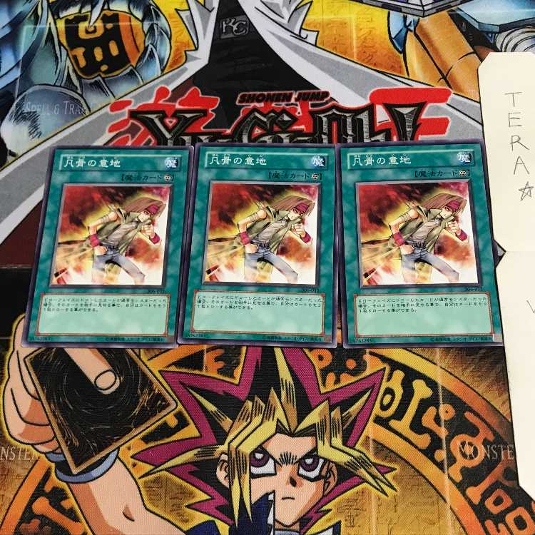 凡骨の意地 306 8 ノーマル 3枚セット てら