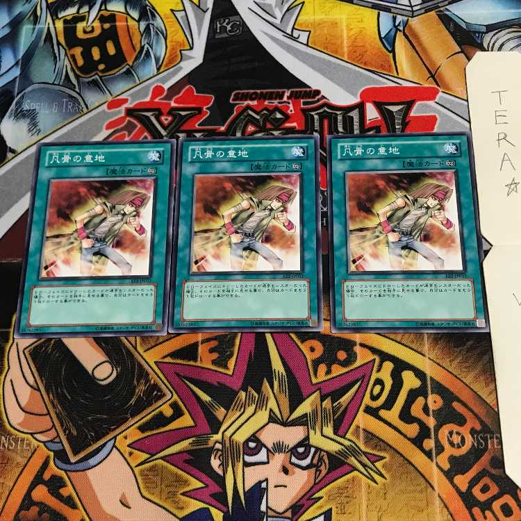 凡骨の意地 EE2 2 ノーマル 3枚セット てら