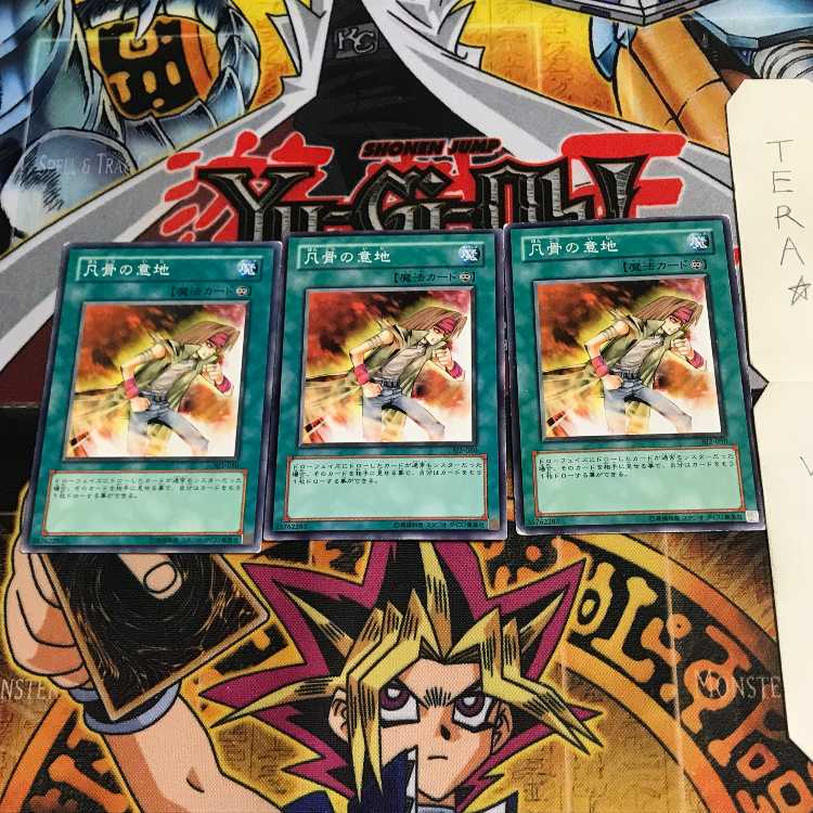 Heart of the Underdog SJ2 3 Normal Set of 3 Tera