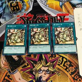 魔法族の里 DBIC 3 ノーマル 3枚セット てら