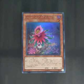 Glow-Up Bloom Super Rare JP003 [Korindo