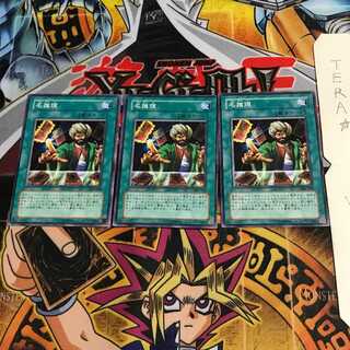 Reasoning 301 1 Normal, set of 3 Tera.