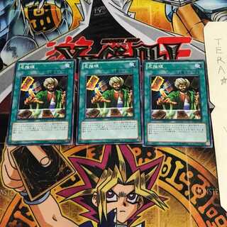 Reasoning SD22 6 Normal, set of 3 Tera.