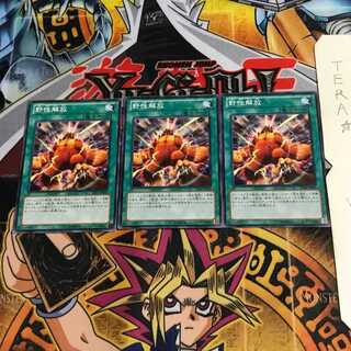 野性解放 SD24 1 ノーマル 3枚セット てら