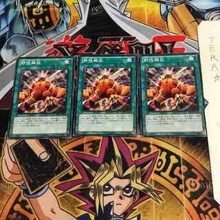 Wild Nature's Release SD24 2 Normal, set of 3 Tera.