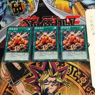 Wild Nature's Release SD24 3 Normal Set of 3 Tera