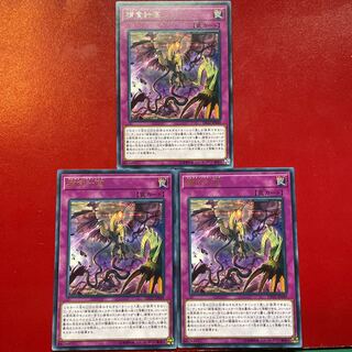 Predaplanning Rare JP049