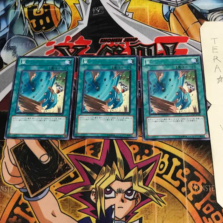 Storm GAOV 1 Normal, set of 3 Tera. 3枚