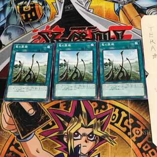 Dragon Shrine DP20 4 Normal, set of 3 Tera.