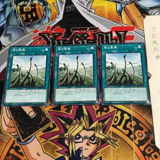 Dragon Shrine DP20 5 Normal, set of 3 Tera.