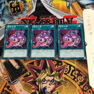 貪欲な壺 SD23 4 ノーマル 3枚セット てら