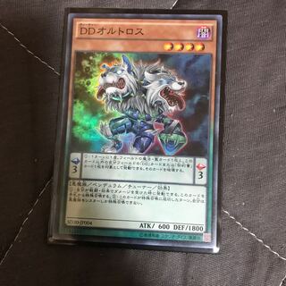 マドレース DDオルトロス