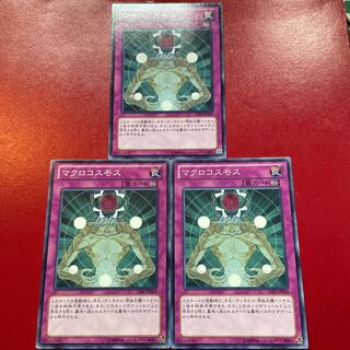 マクロコスモス ノーマル JP018