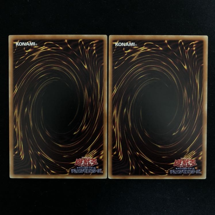 捕食植物オフリス・スコーピオ ダーリング・コブラ 2枚