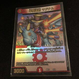 Single shot magnum 9/18