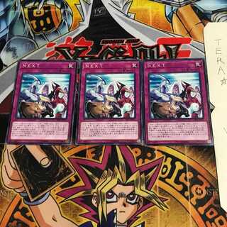 NEXT SAST 5 ノーマル 3枚セット てら