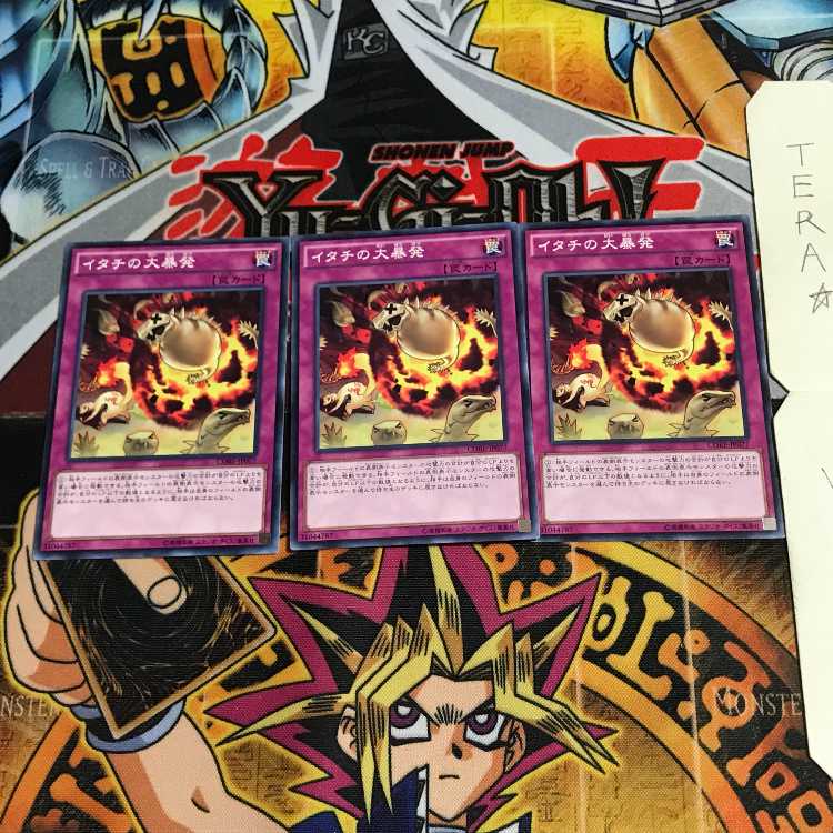 Ferret Flames CORE 10 Normal, set of 3 Tera.