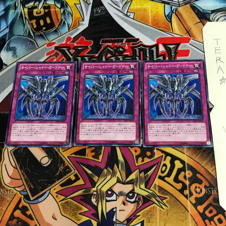 サイバー・シャドー・ガードナー DE01 2 ノーマル 3枚セット てら