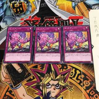 セットアッパー RIRA 5 ノーマル 3枚セット てら