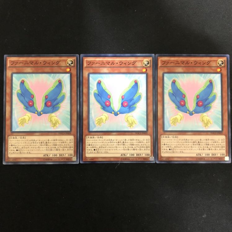 ファーニマル・ウィング ③ 3枚