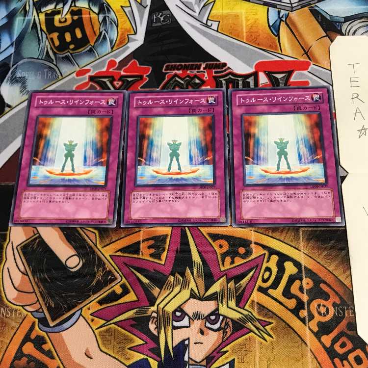 トゥルース・リィンフォース DP09 6 ノーマル 3枚セット てら