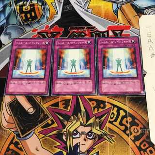 トゥルース・リィンフォース DP09 6 ノーマル 3枚セット てら