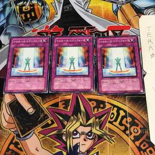 トゥルース・リィンフォース DP09 10 ノーマル 3枚セット てら