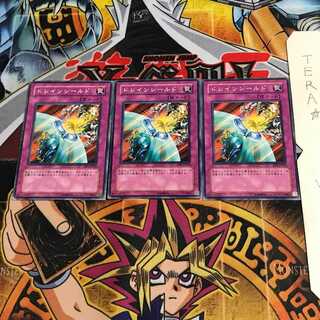 ドレインシールド DP1 1 ノーマル 3枚セット てら