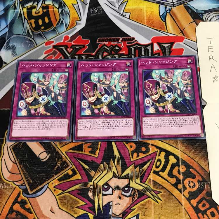 Head Judging IGAS 5 Normal, set of 3 Tera.