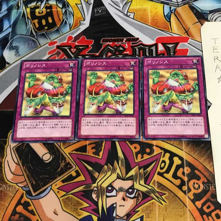 ポリノシス DE03 5 ノーマル 3枚セット てら