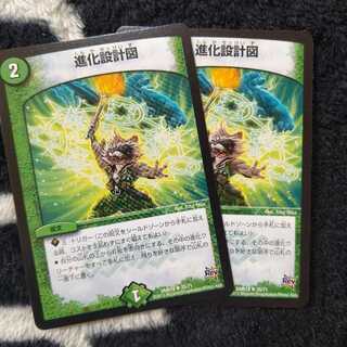 進化設計図  ２枚セット