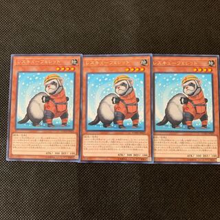 レスキューフェレット