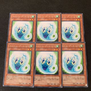 ライフ・コーディネイター