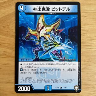 神出鬼没 ピットデル R 13/84