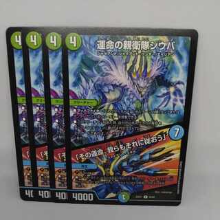 運命の親衛隊シウバ｜「その運命、我らもそれに従おう」 R 45/84