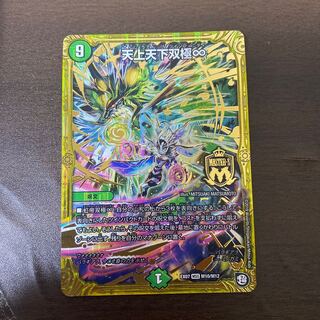 天上天下双極∞ MSS M10/M12