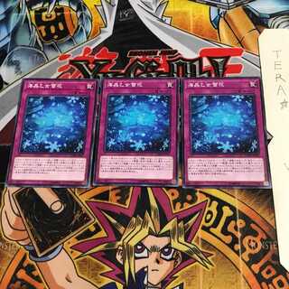 海晶乙女雪花 CHIM 2 ノーマル 3枚セット てら