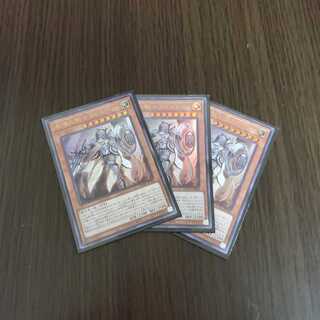 教導の騎士フルルドリス