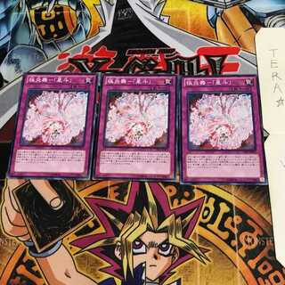 極炎舞-「星斗」 CBLZ 2 ノーマル 3枚セット てら