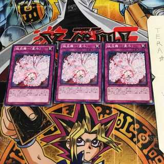 極炎舞-「星斗」 CBLZ 3 ノーマル 3枚セット てら