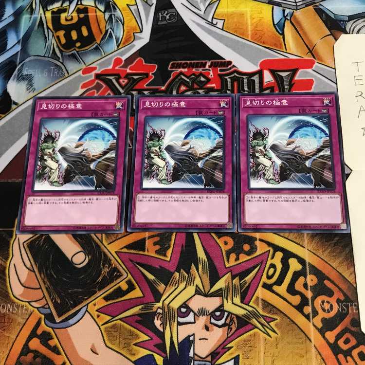 見切りの極意 EXFO 1 ノーマル 3枚セット てら