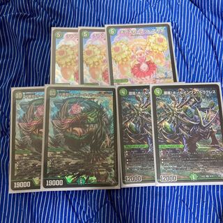 Cheer Scarlet Whitney SR S8/S8