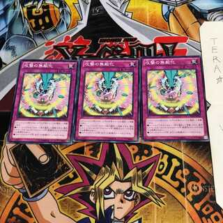 攻撃の無敵化 REDU 1 ノーマル 3枚セット てら