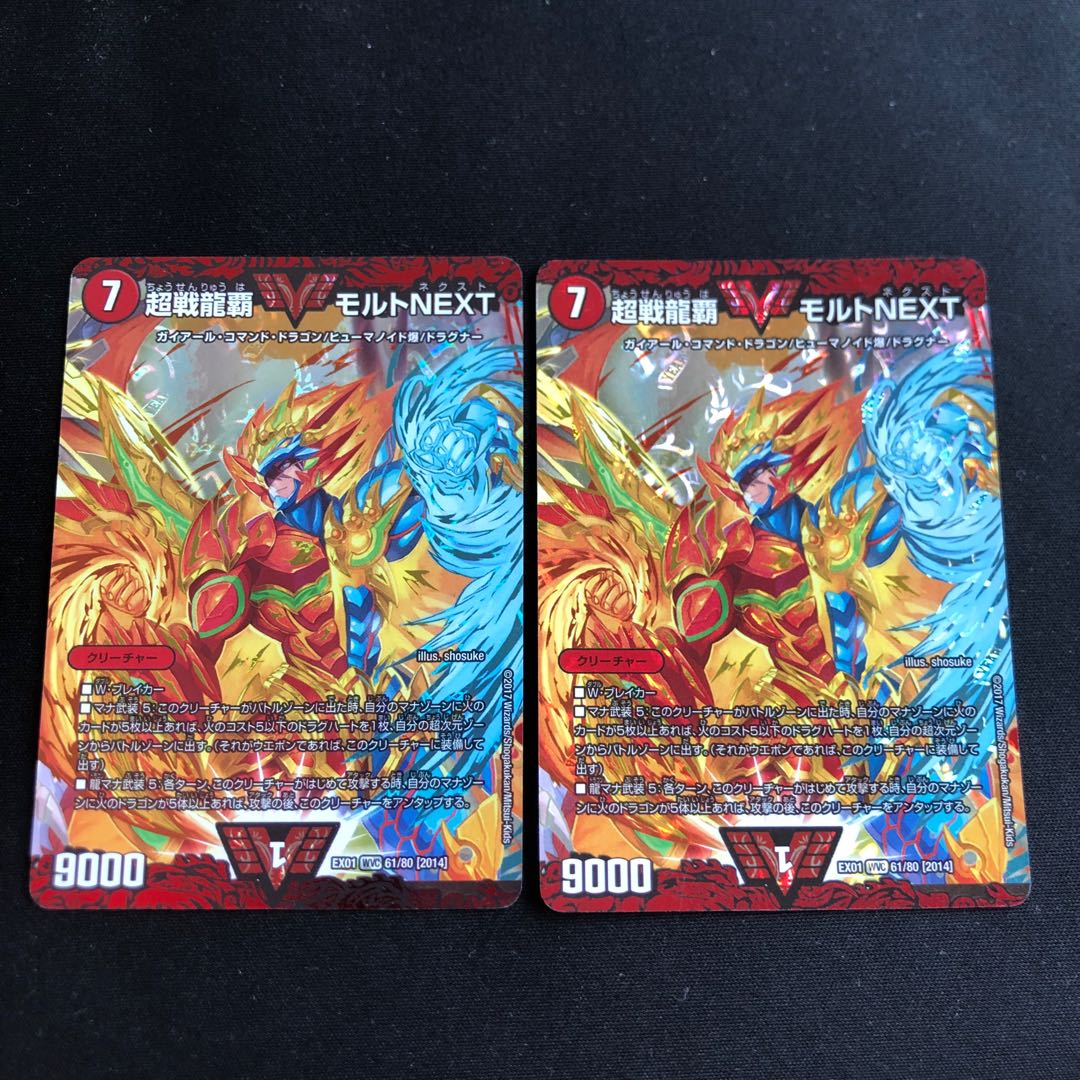 モルトネクスト2枚