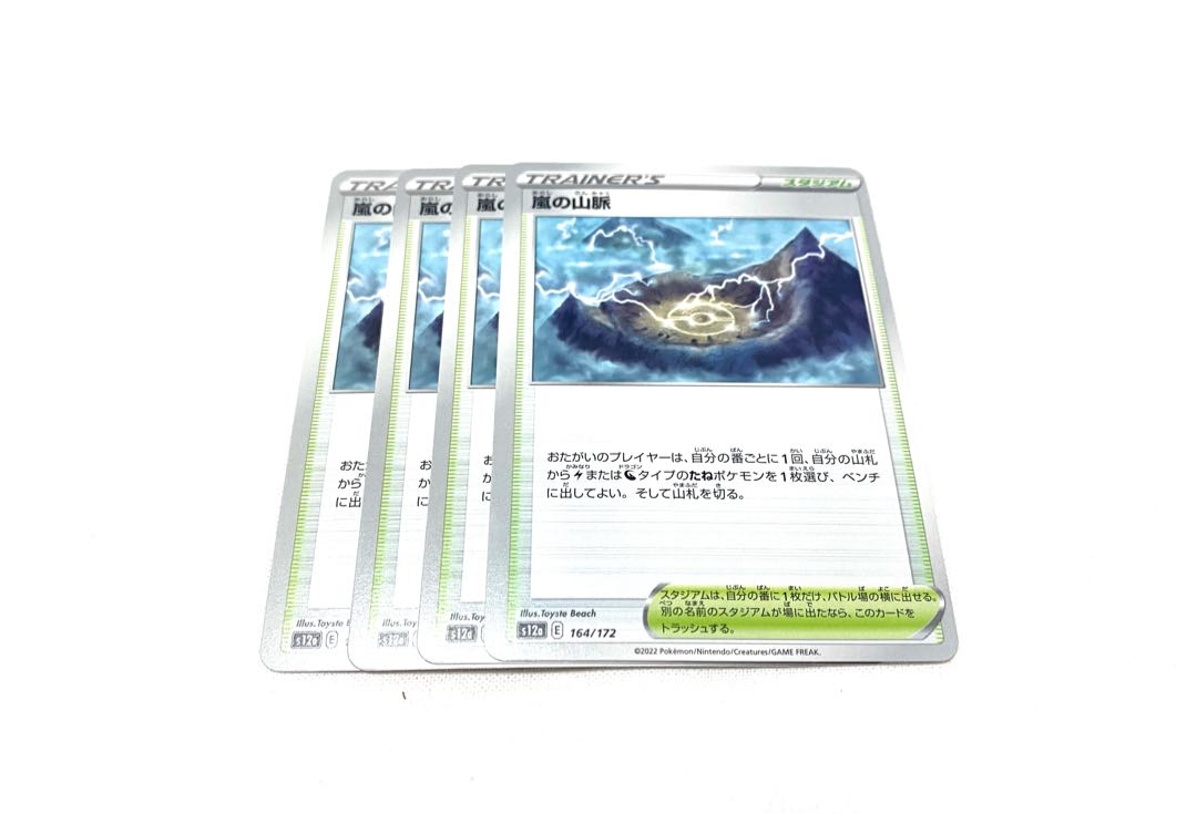 嵐の山脈 164/172