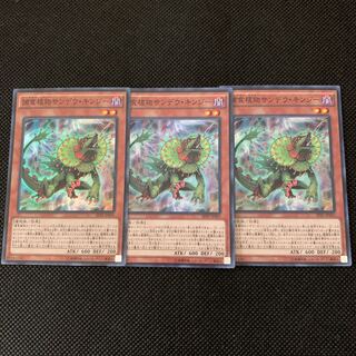 捕食植物サンデウ・キンジー